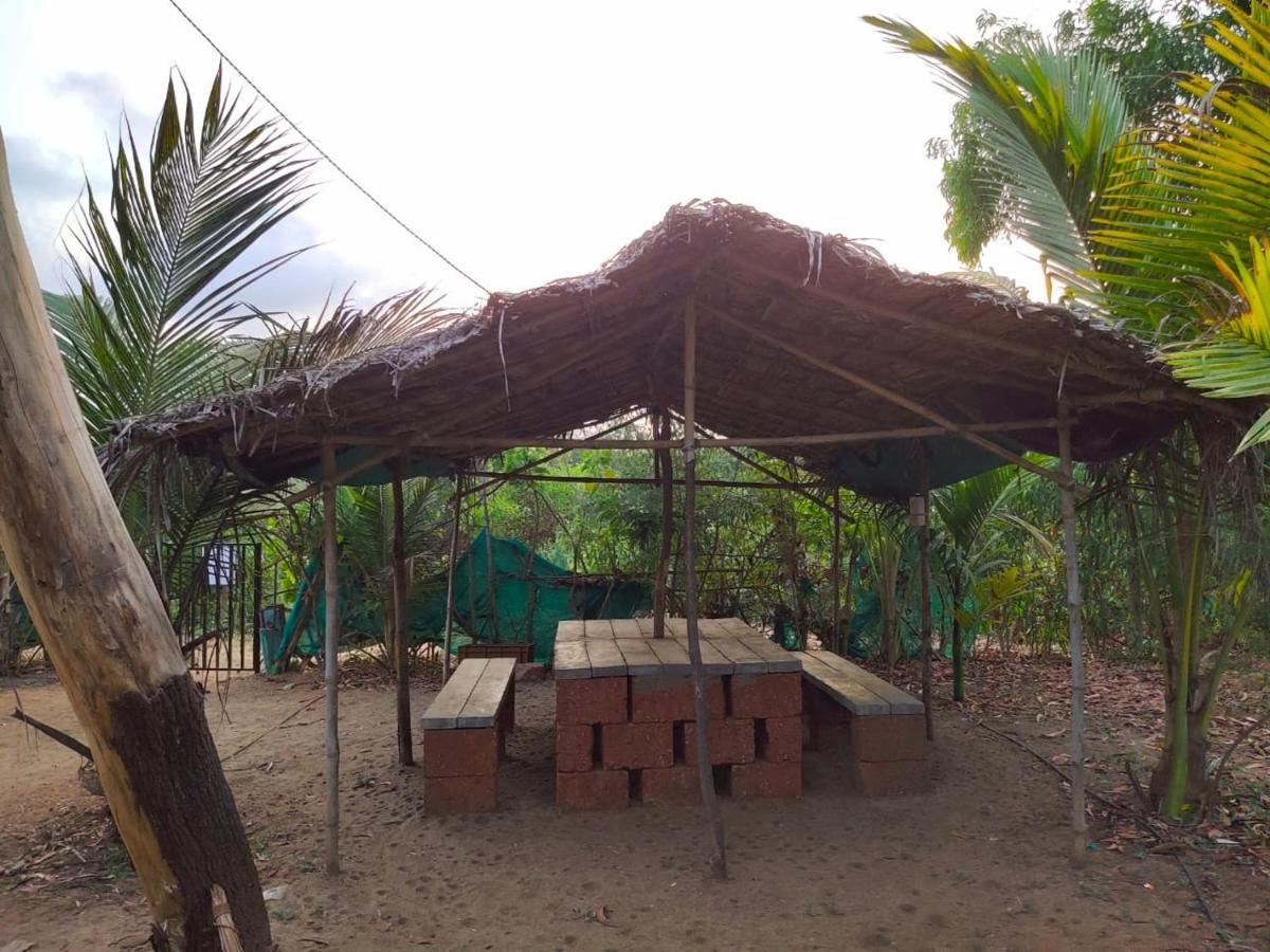 Whistling Waves Beach Resort Anjarle Exterior photo